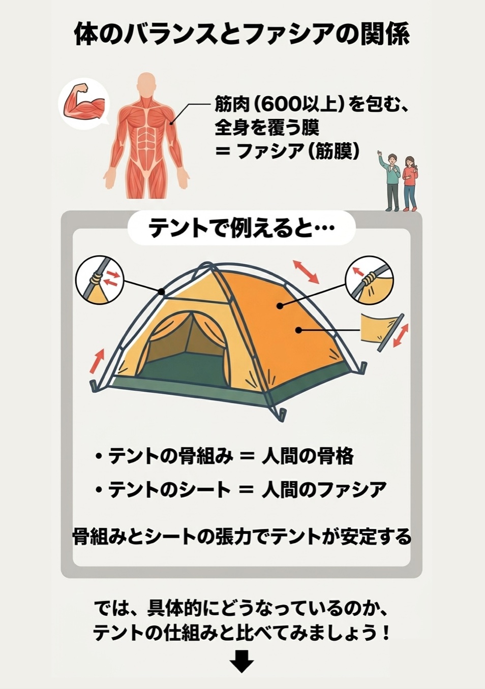 筋肉は身体に600を超える数が存在します。 これらは”筋膜”といわれるファシアで 全身包まれています。 このファシアがズレる、 あるいは引っ張られると 身体はバランスを崩します。 キャンプなどのテントを想像してください。 テントの骨組みは骨格 シートがファシアです。