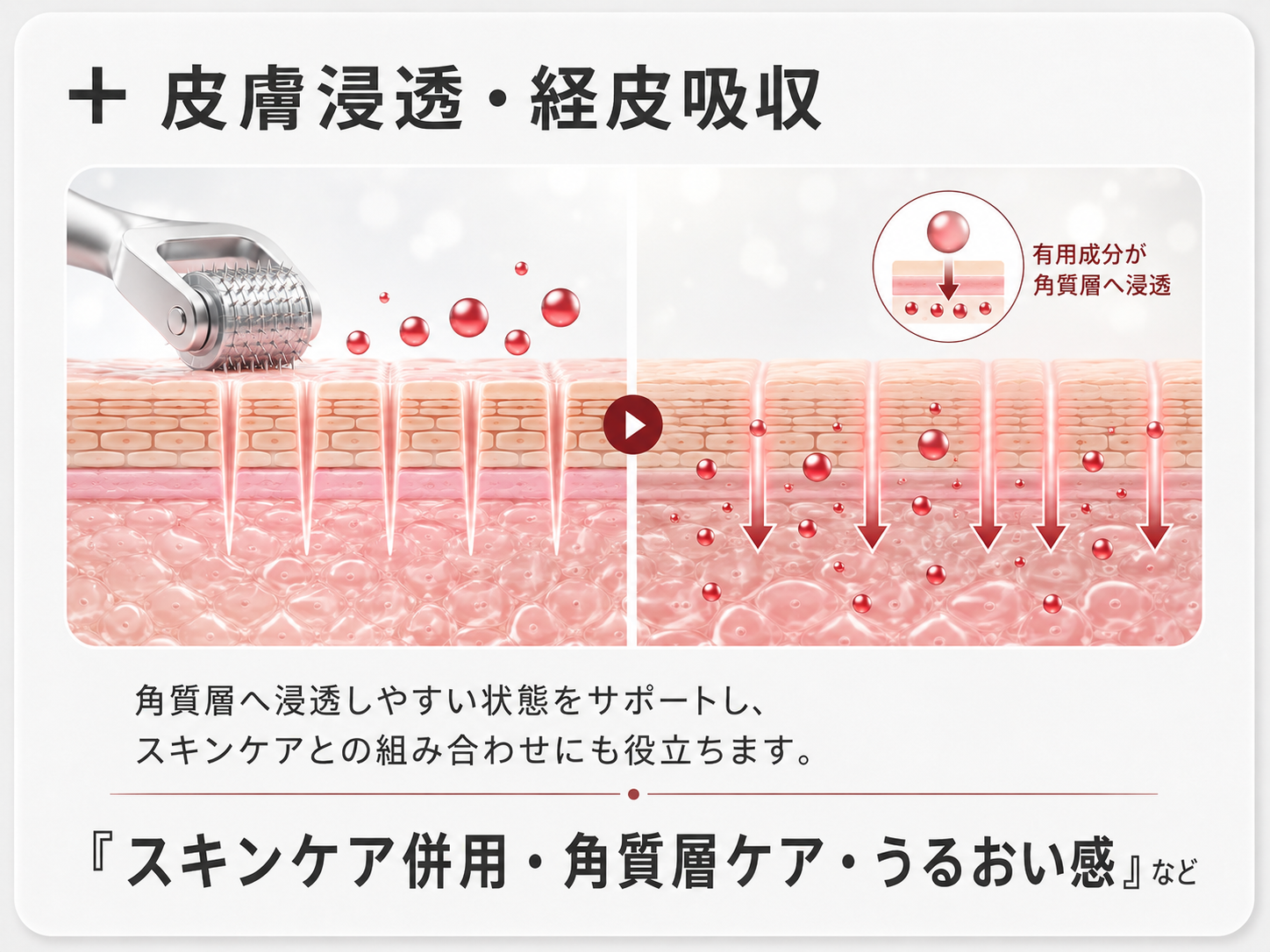 皮膚浸透・経皮吸収