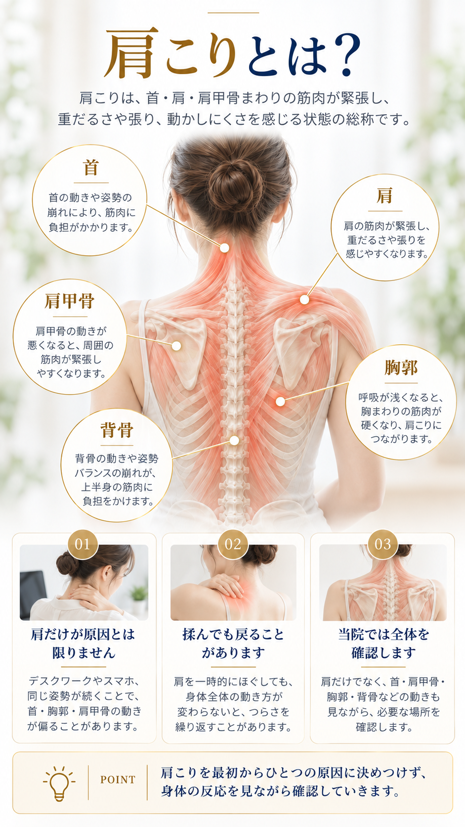 首・肩・肩甲骨まわりに感じる肩こりのイメージ