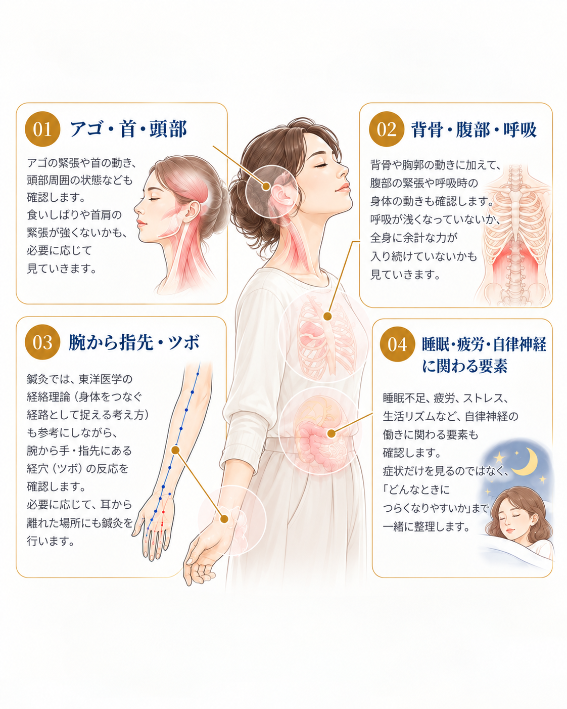 メニエール病のお悩みに対して、耳まわりだけでなくアゴ・首・背骨・腹部・呼吸・手足など全身の状態を確認するイメージ
