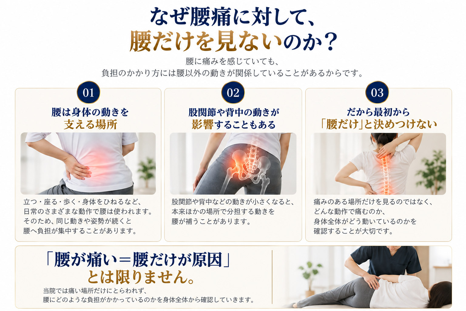 腰と骨盤、股関節、背中など身体の動きのつながりを示した図