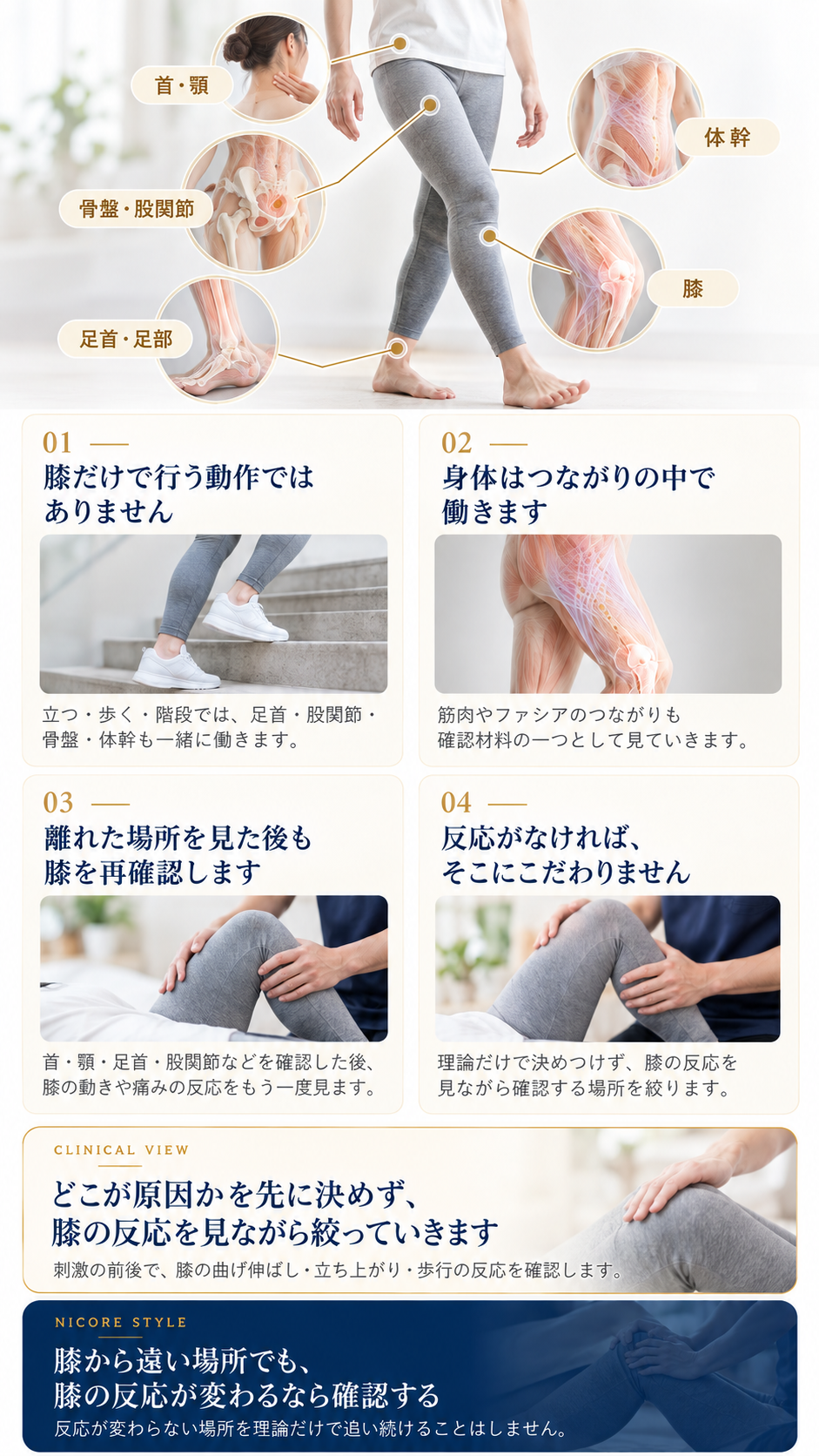 膝の痛みに対して膝だけでなく首や顎、体幹、骨盤、股関節、足首なども確認し、膝の反応を見ながら施術箇所を判断する考え方